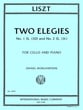 Two Elegies Cello and Piano cover